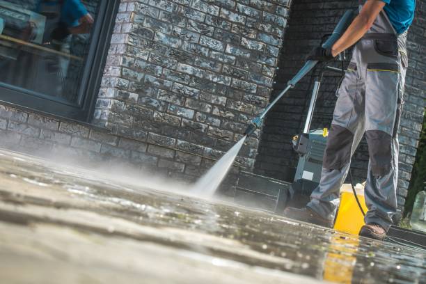 Best Window and Screen Pressure Cleaning in Pharr, TX