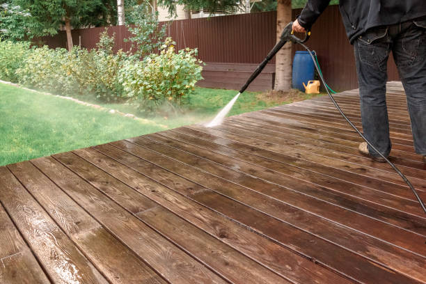 Best Vinyl Siding Pressure Washing in Pharr, TX