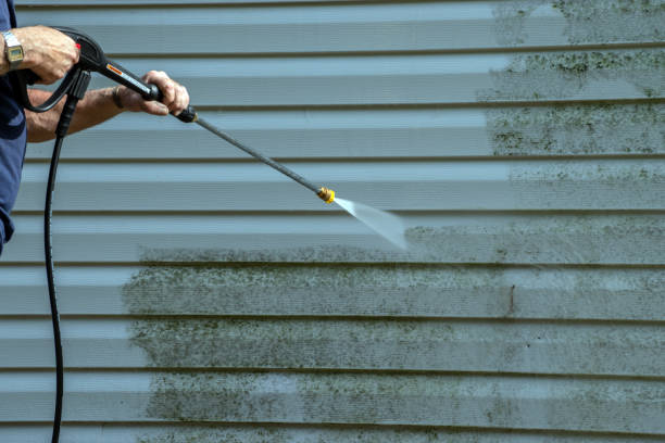 Best Driveway Cleaning and Restoration in Pharr, TX