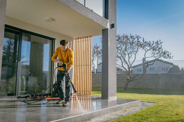 Best Gutter Cleaning and Brightening in Pharr, TX
